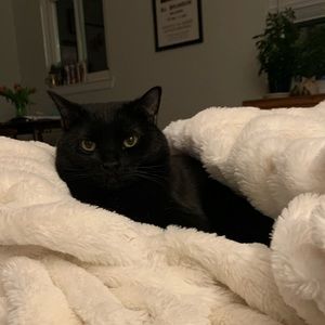 Meet your Posher, Erin